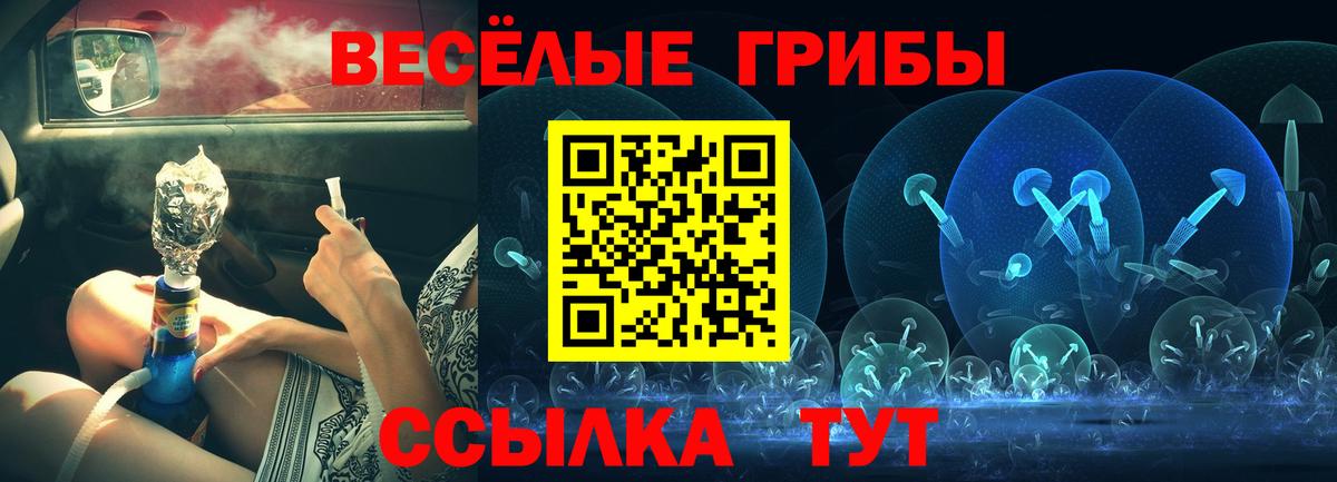 Галлюциногенные грибы Magic Shrooms  купить наркотики сайты  Грозный  Вход с VPN 